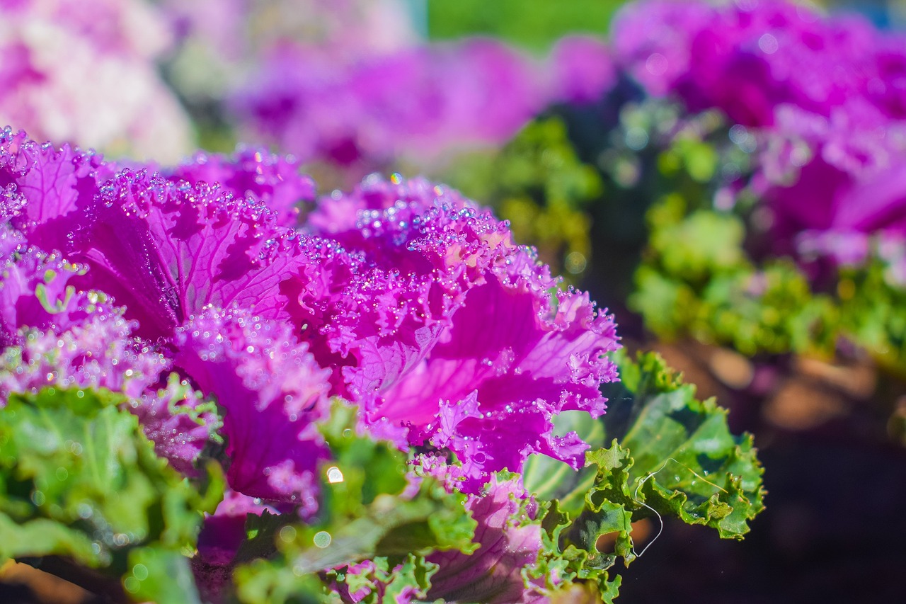 découvrez les enjeux de la concurrence déloyale et ses impacts sur les entreprises. apprenez à identifier les pratiques anticoncurrentielles et à protéger votre activité face aux risques juridiques.