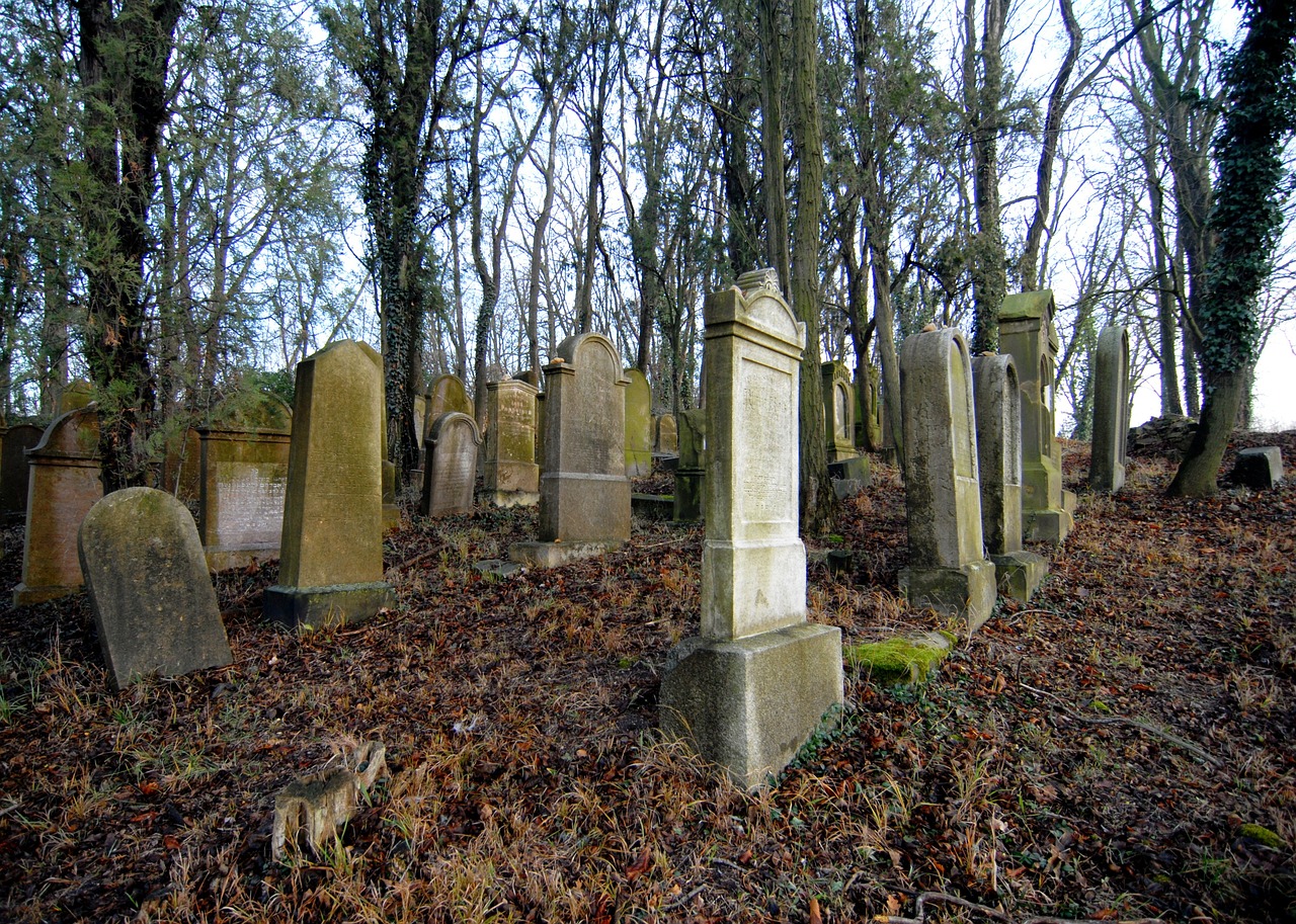 découvrez tout ce que vous devez savoir sur la dissolution : définition, processus, enjeux et implications dans divers secteurs. informez-vous sur les différents types de dissolution, leurs conséquences légales et comment gérer cette étape cruciale.